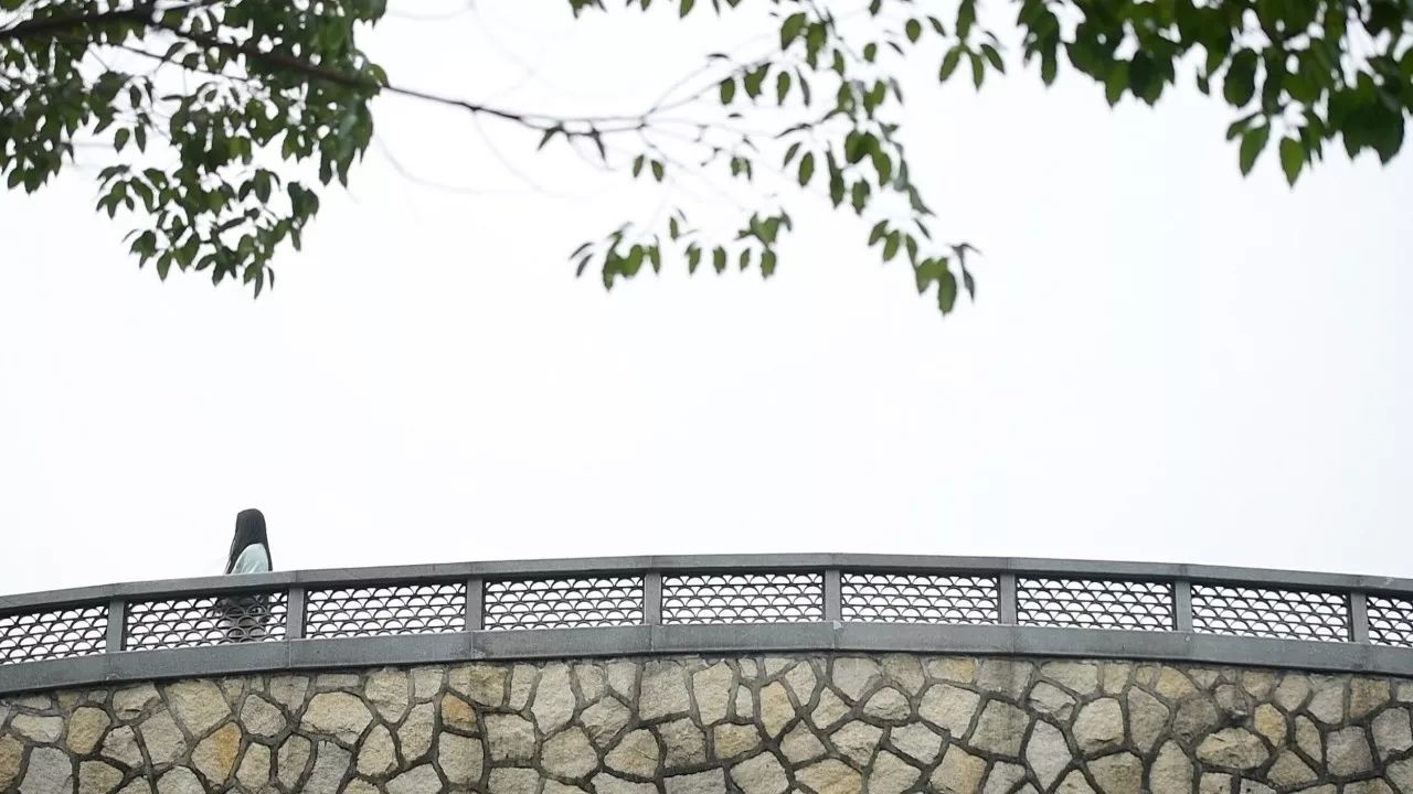 中香界·上海別院，萬水千山總是情！