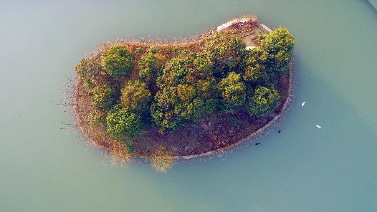 中香界·上海別院，萬水千山總是情！
