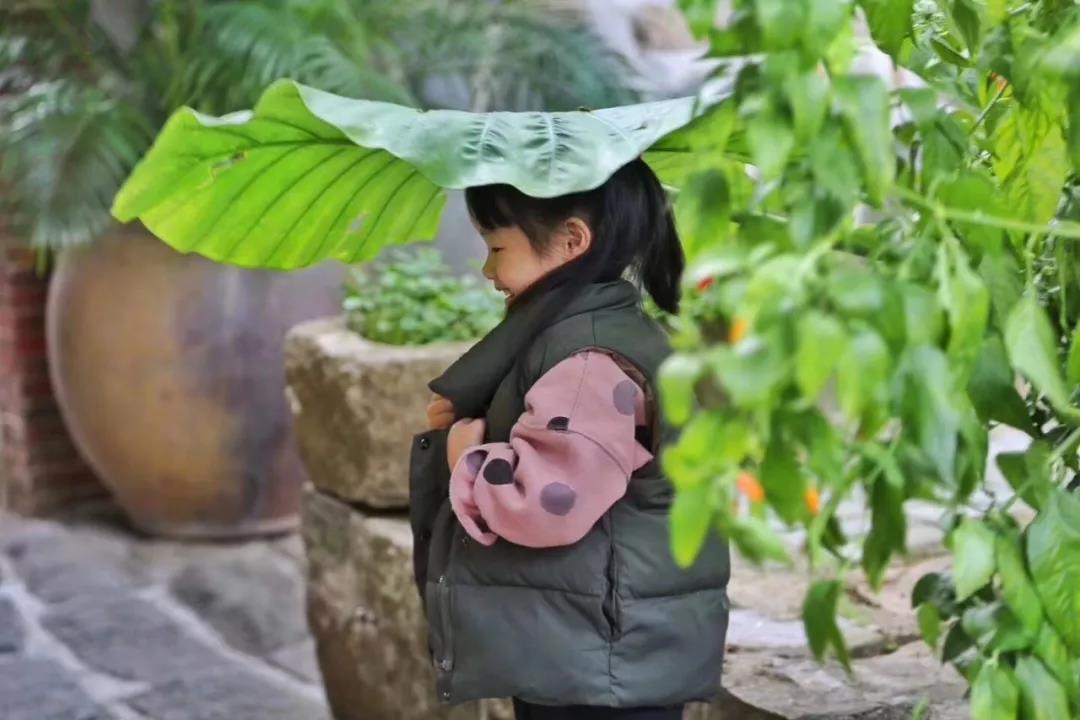 古山重水云間，細水長流吸引你