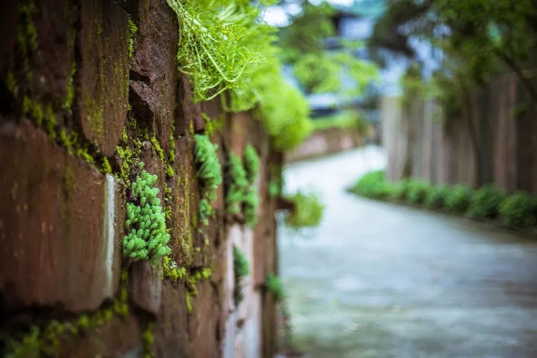 成都·瓦舍：4個景點(diǎn)吃喝玩樂體驗(yàn)成都從容氣息