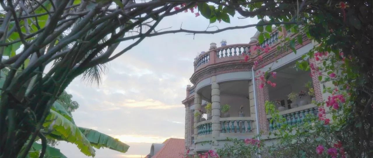 廈門·春草芬芳，體驗面朝大海沐浴星辰的愜意芬