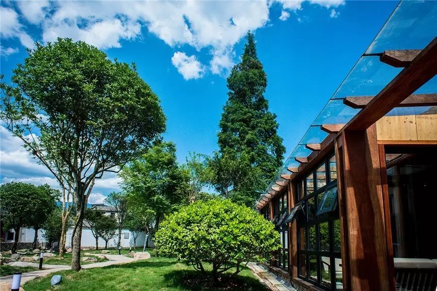 松陽·蔦舍，江南秘境里最溫暖的落腳處