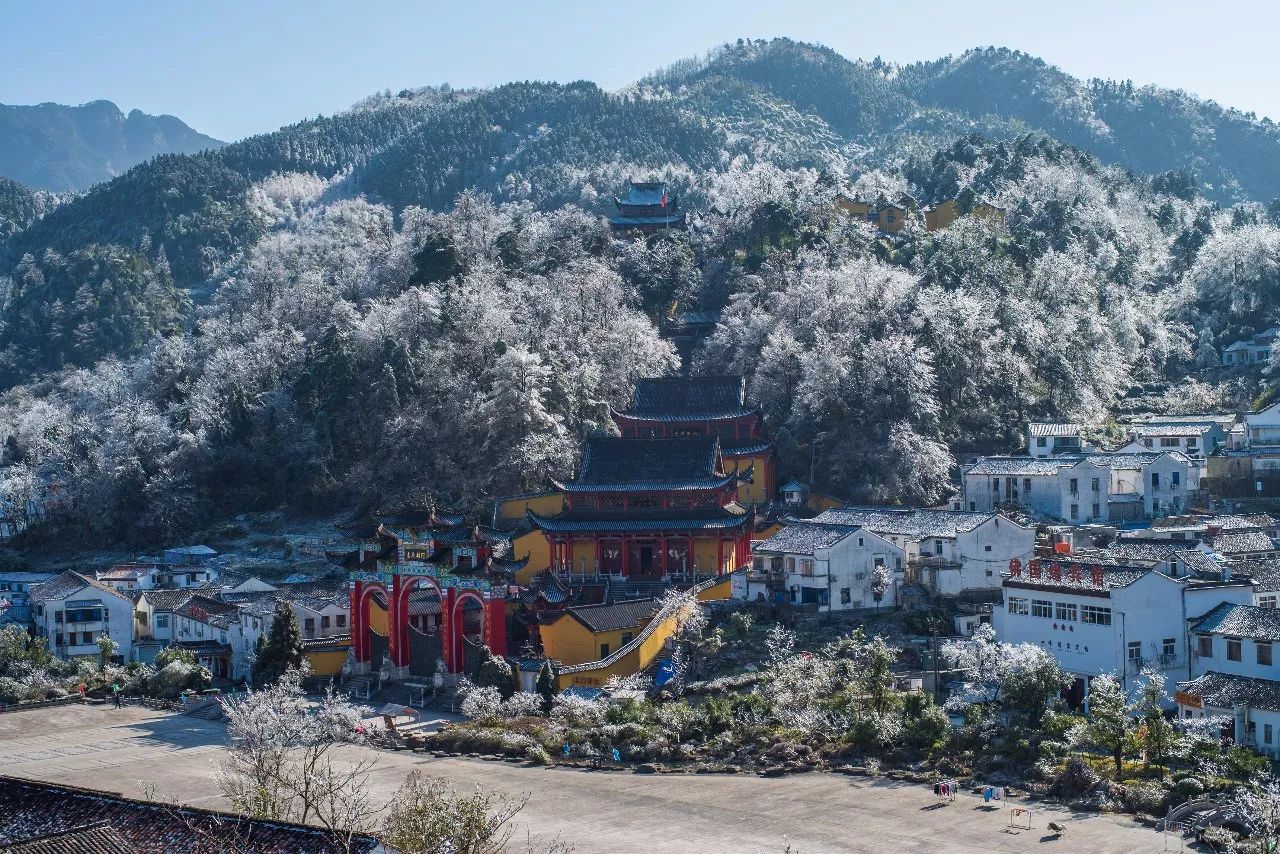 九華山·清竹里，延續(xù)和分享茶文化禪文化