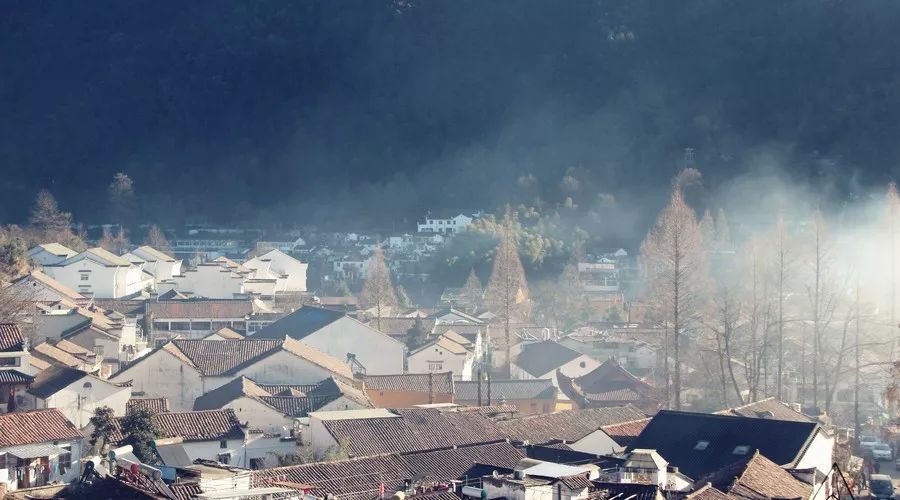 九華山·清竹里，延續(xù)和分享茶文化禪文化