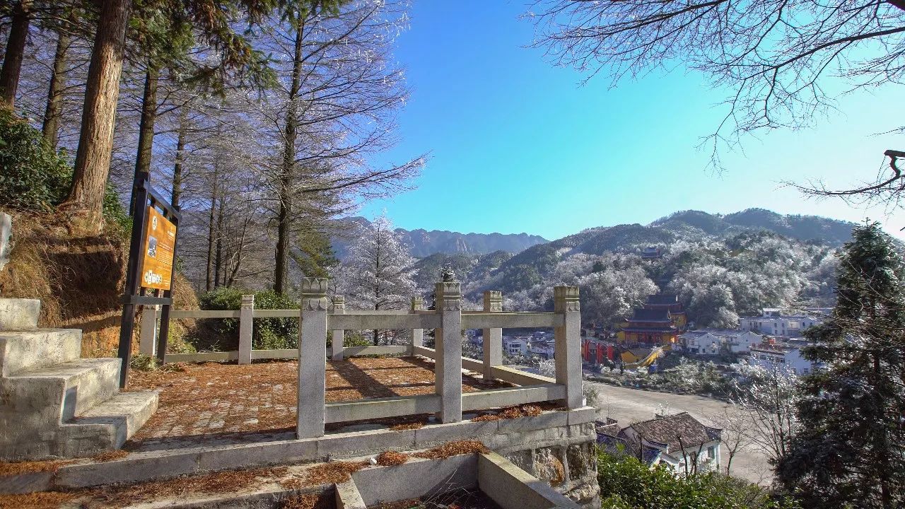 九華山·清竹里，延續(xù)和分享茶文化禪文化