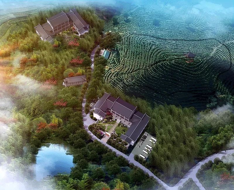 九華山·清竹里，延續(xù)和分享茶文化禪文化