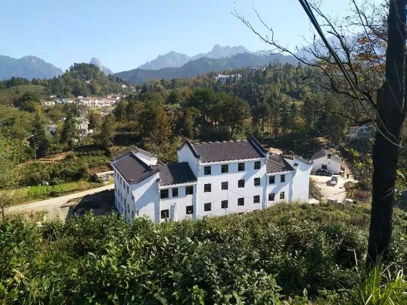 九華山·清竹里，延續(xù)和分享茶文化禪文化
