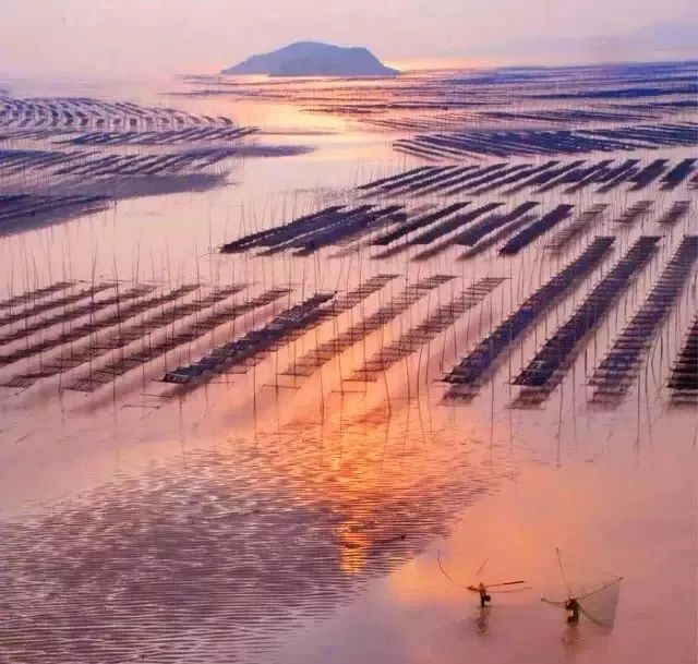 霞浦·灰鯨樂宿，帶給你更多濃郁的人文氣息