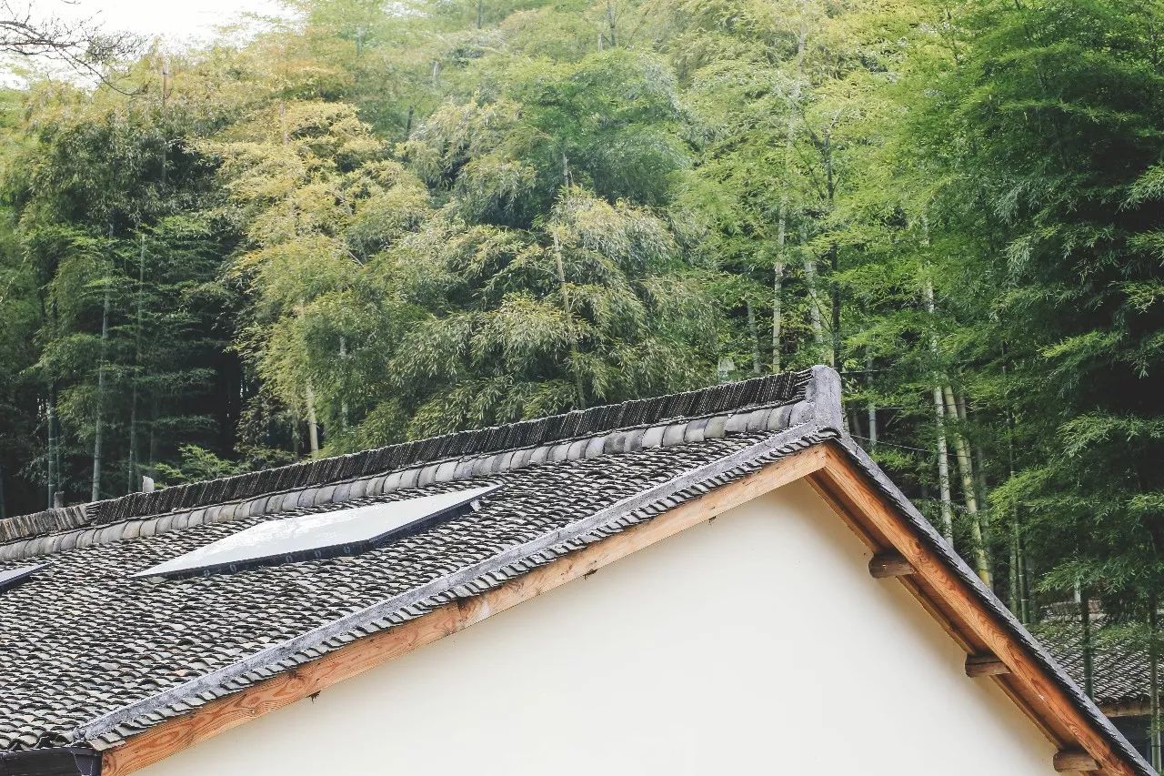 杭州·菩提谷，與你一起私有群山秘境