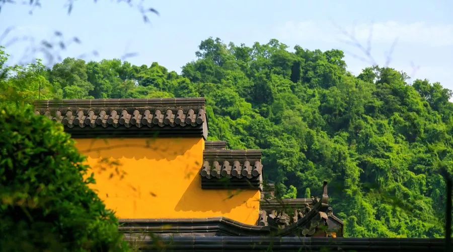 杭州·菩提谷，與你一起私有群山秘境