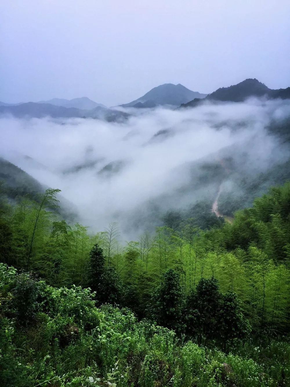 過(guò)云山居·長(zhǎng)丘田，躺在浴缸里摘朵云