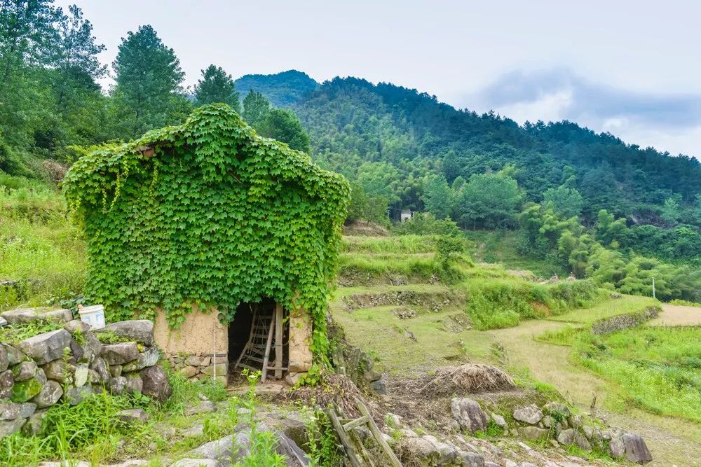 過(guò)云山居·長(zhǎng)丘田，躺在浴缸里摘朵云