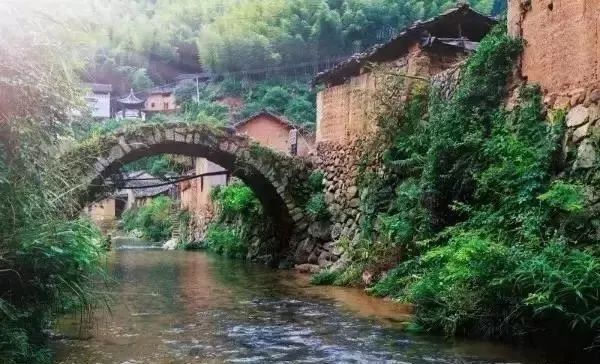麗水·曼山居，依山而居便不知人間是何夕