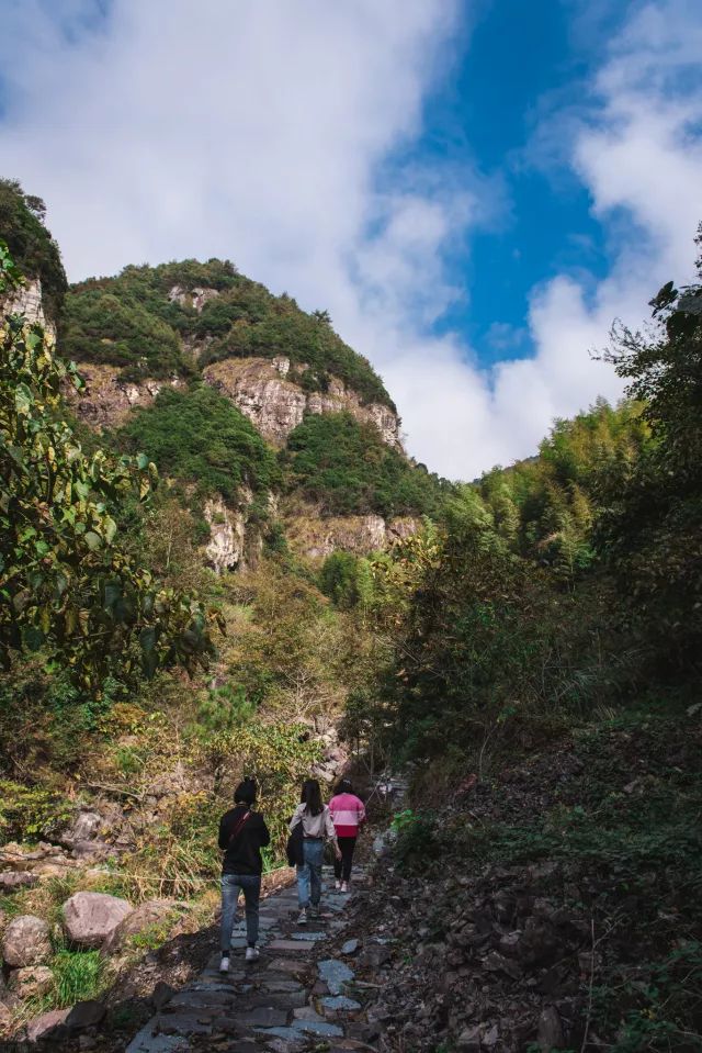 麗水·曼山居，依山而居便不知人間是何夕