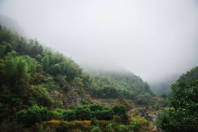 麗水·曼山居，依山而居便不知人間是何夕