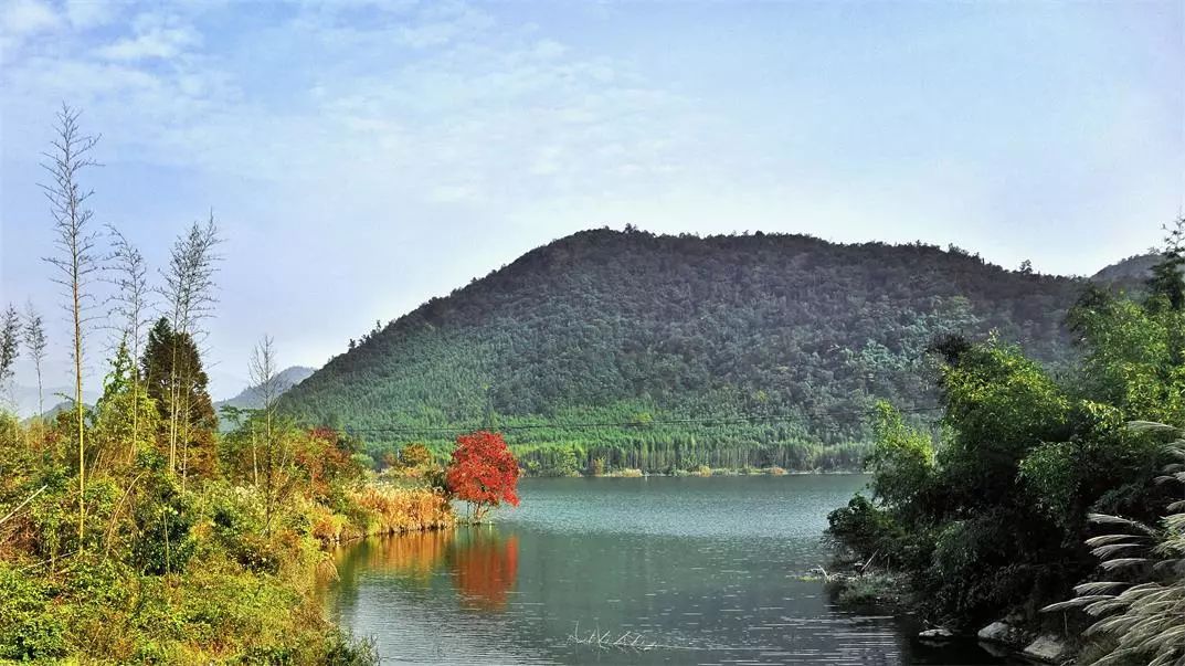 莫干山·宿里，一處桃花源建一處詩意棲居之所