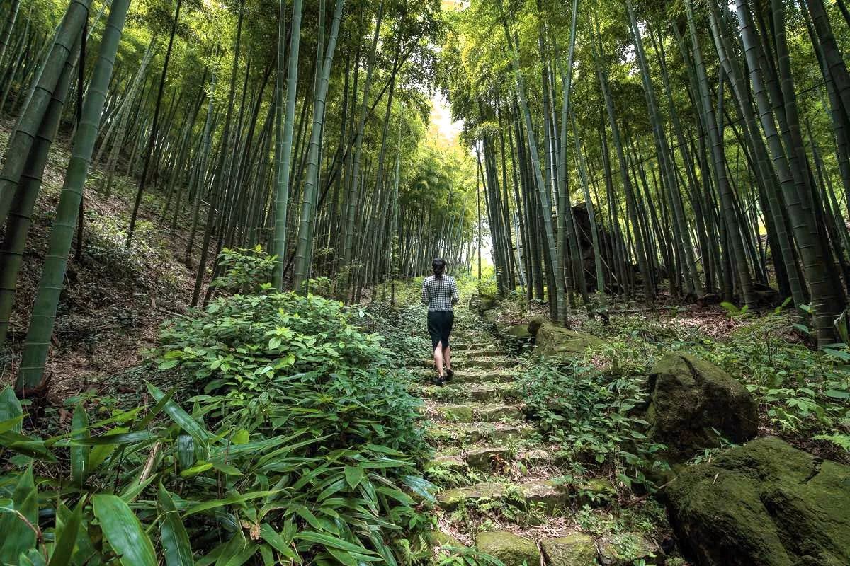 莫干山·宿里，一處桃花源建一處詩(shī)意棲居之所