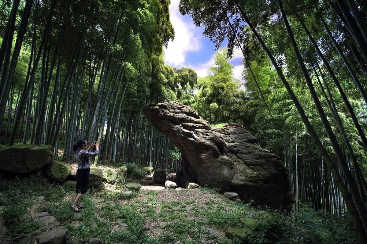 莫干山·宿里，一處桃花源建一處詩(shī)意棲居之所