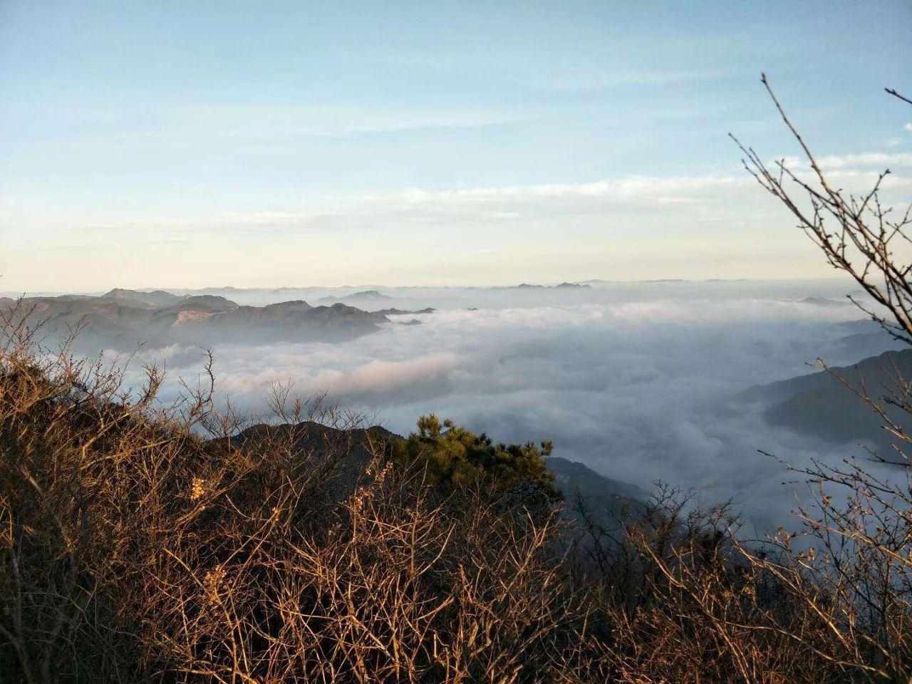 莫干山·宿里，一處桃花源建一處詩(shī)意棲居之所