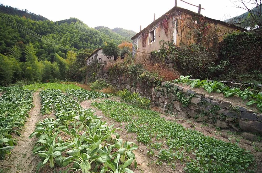 杭州·蓮社溪客，不妥協(xié)的人生才比較有趣