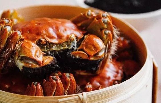蘇州·泊悅灣，城市鄉(xiāng)村間人們何嘗不是兩棲動物