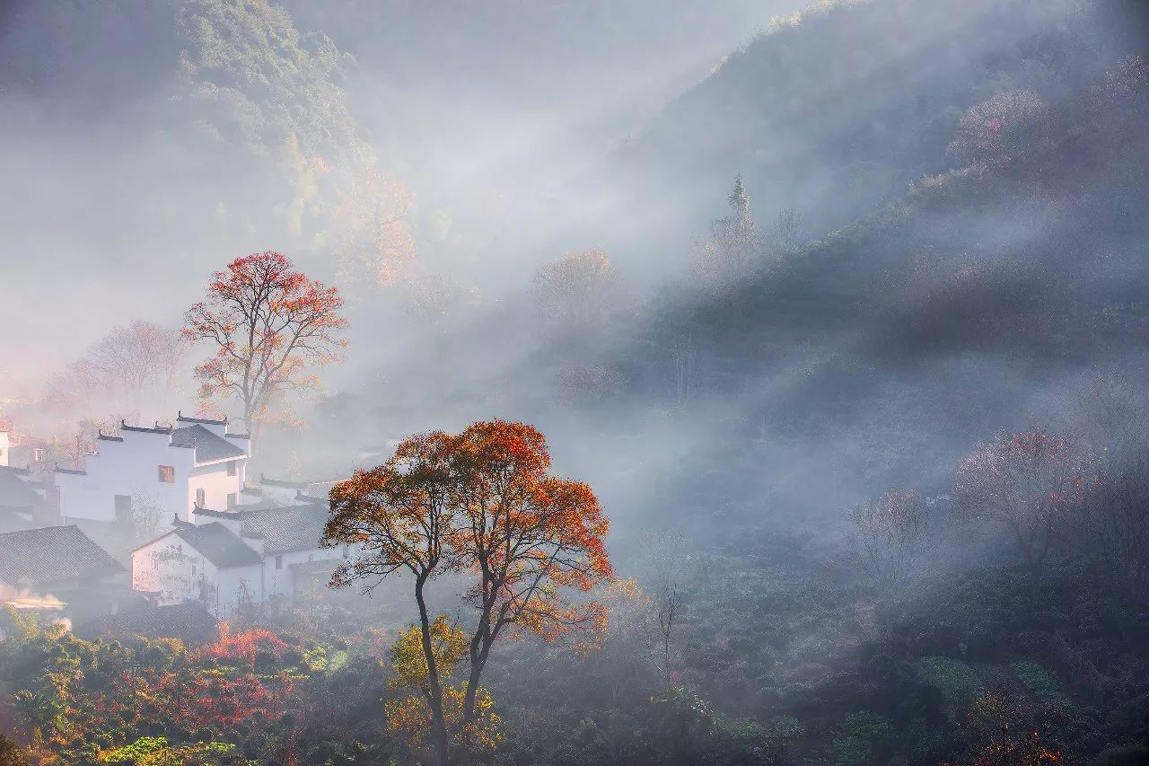 婺源·物上，平淡溫柔別有滋味