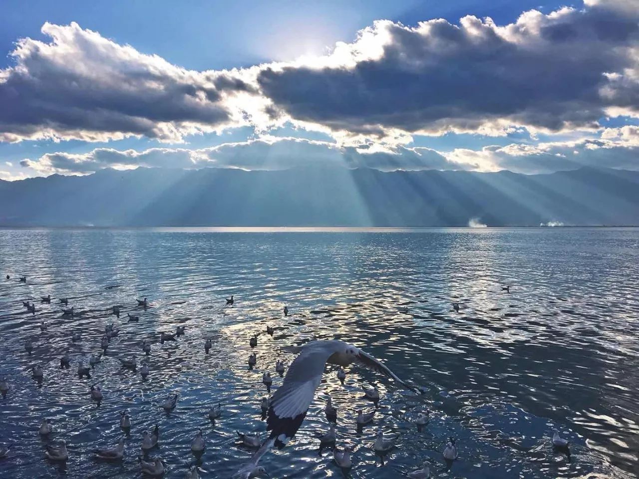 大理慢境·海景藝術(shù)客棧，海邊的微風(fēng)陽光