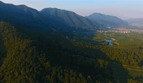 杭州·長鏡頭，一所電影時光主題民宿