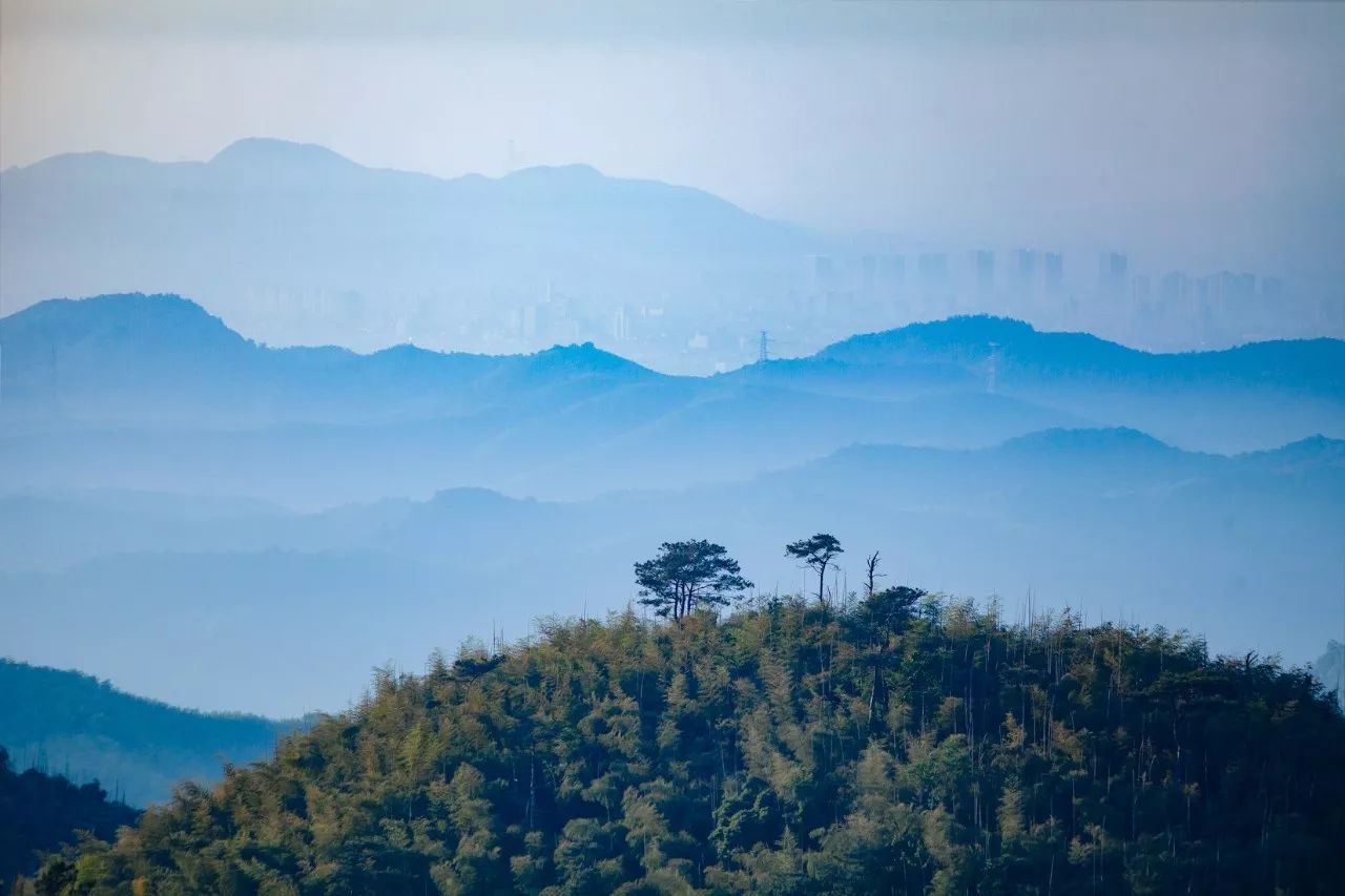 莫干山·三秋美宿，一日不見三秋盼兮