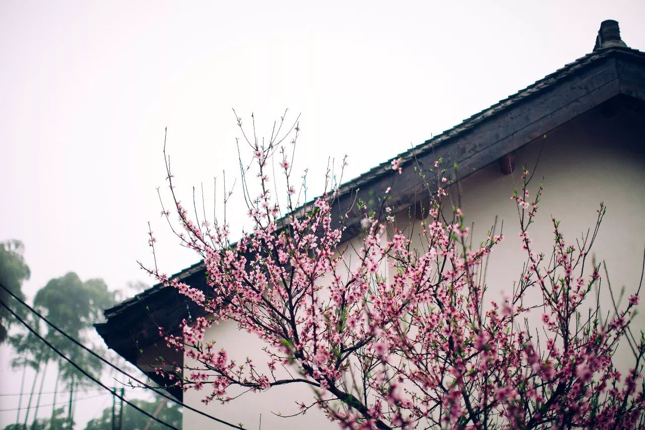 莫干山·三秋美宿，一日不見三秋盼兮