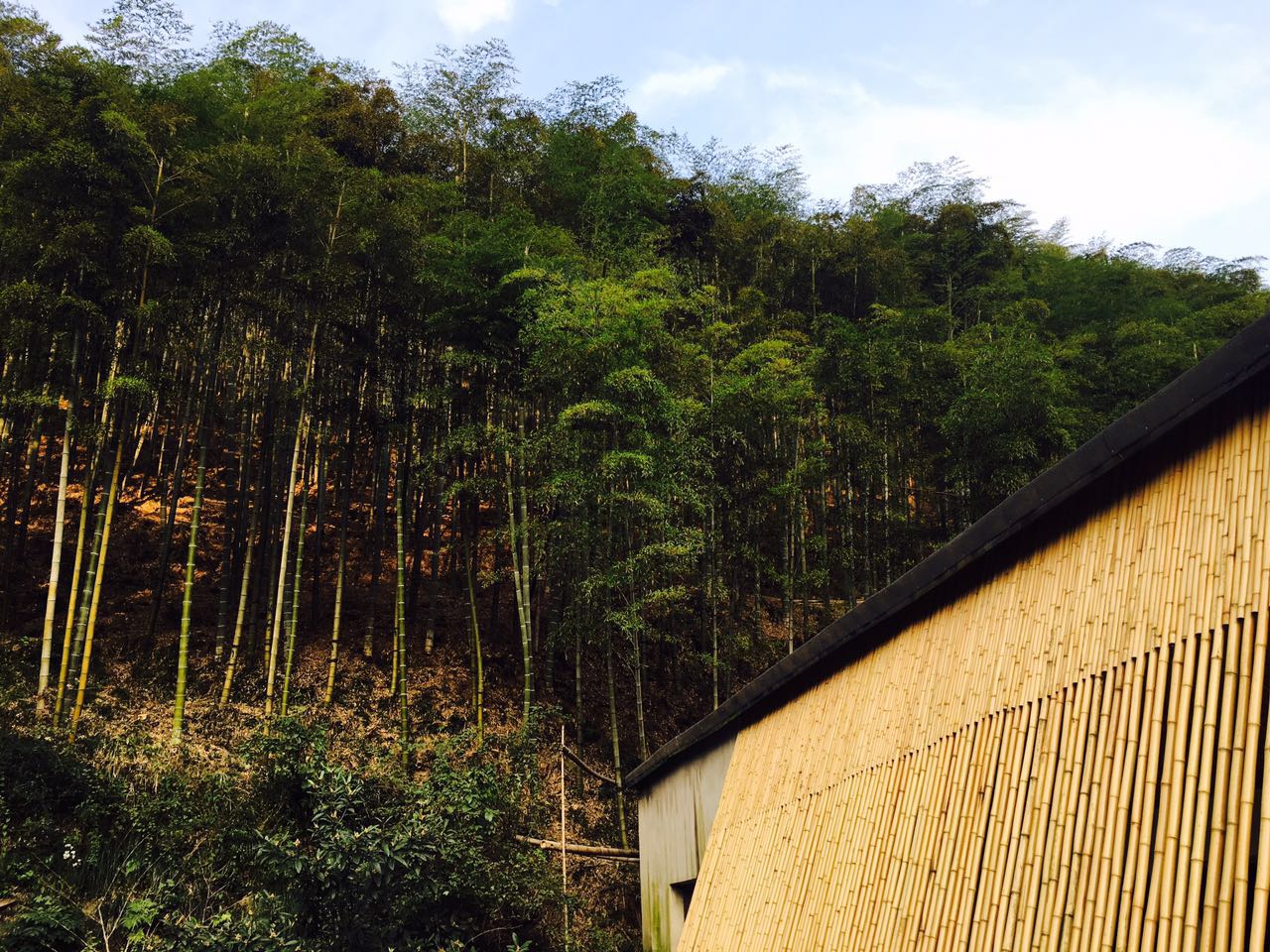莫干山·趣舍一棵樹(shù)，置身山中與山林萬(wàn)物相連
