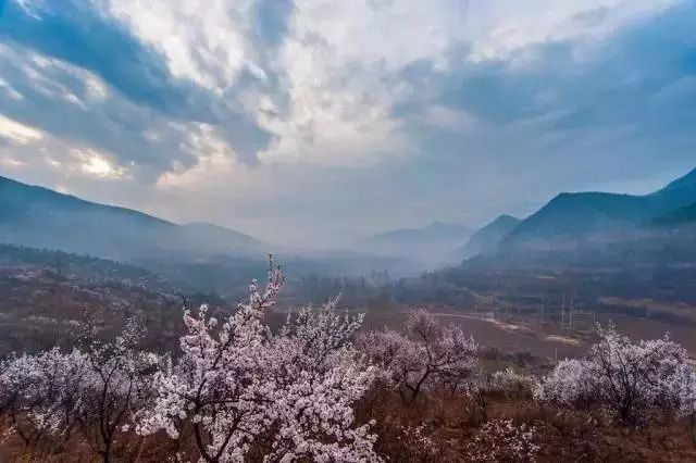 北京·山楂小院，留住最土的鄉(xiāng)味和溫暖的人心