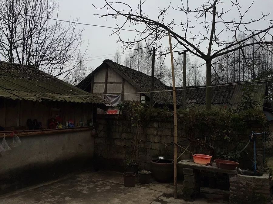青城山·路之青城，山溝里的豬圈民宿