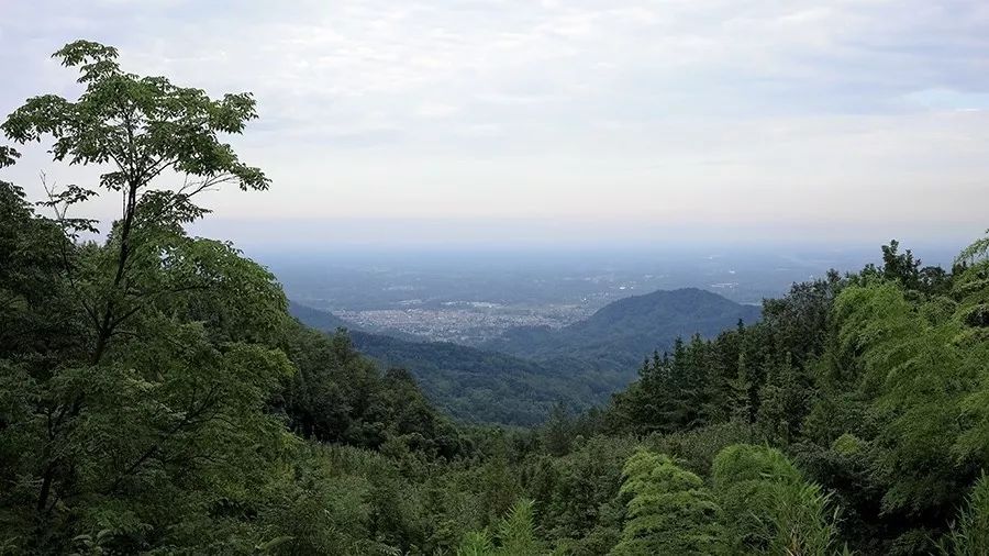 青城山·路之青城，山溝里的豬圈民宿