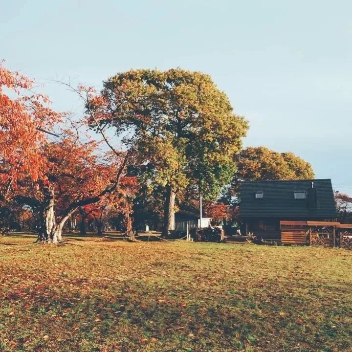 北海道的海濱小鎮(zhèn)，一家四口的日子才最幸福