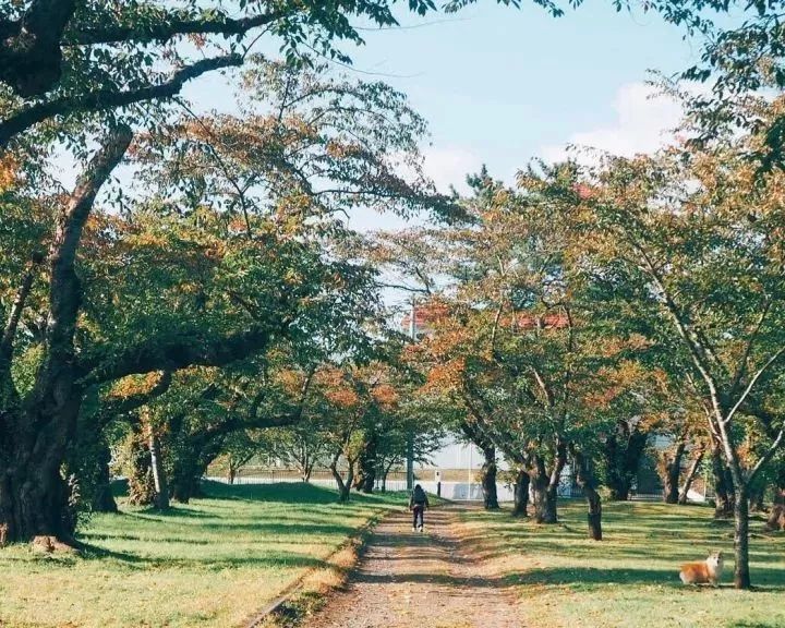 北海道的海濱小鎮(zhèn)，一家四口的日子才最幸福