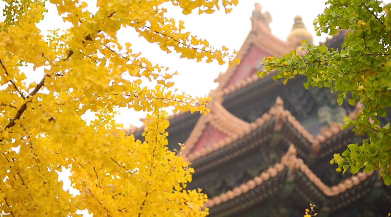 王室故居，坐擁古老神秘的王府豪宅看明清興衰