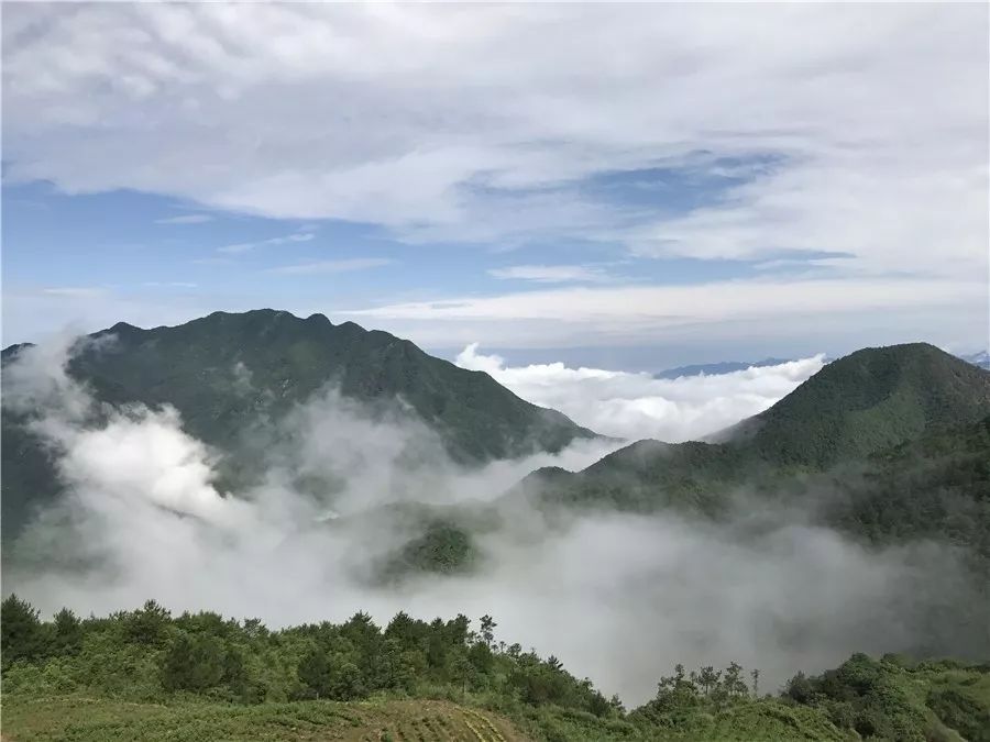 麗水·云逸遠(yuǎn)山，在牡丹亭有個(gè)仲夏夜之夢