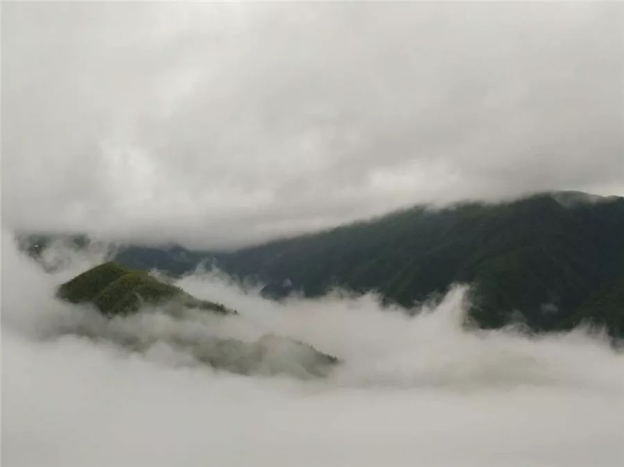 麗水·云逸遠(yuǎn)山,在牡丹亭有個(gè)仲夏夜之夢(mèng)