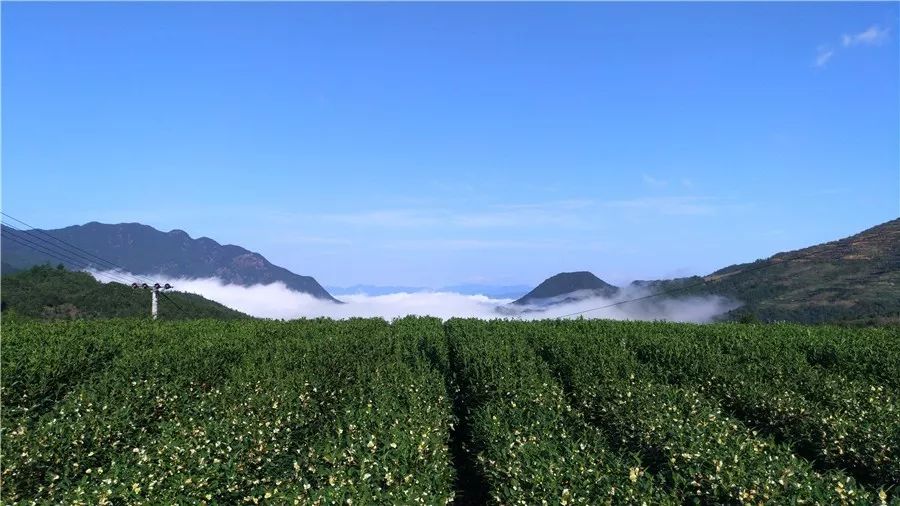麗水·云逸遠(yuǎn)山，在牡丹亭有個(gè)仲夏夜之夢