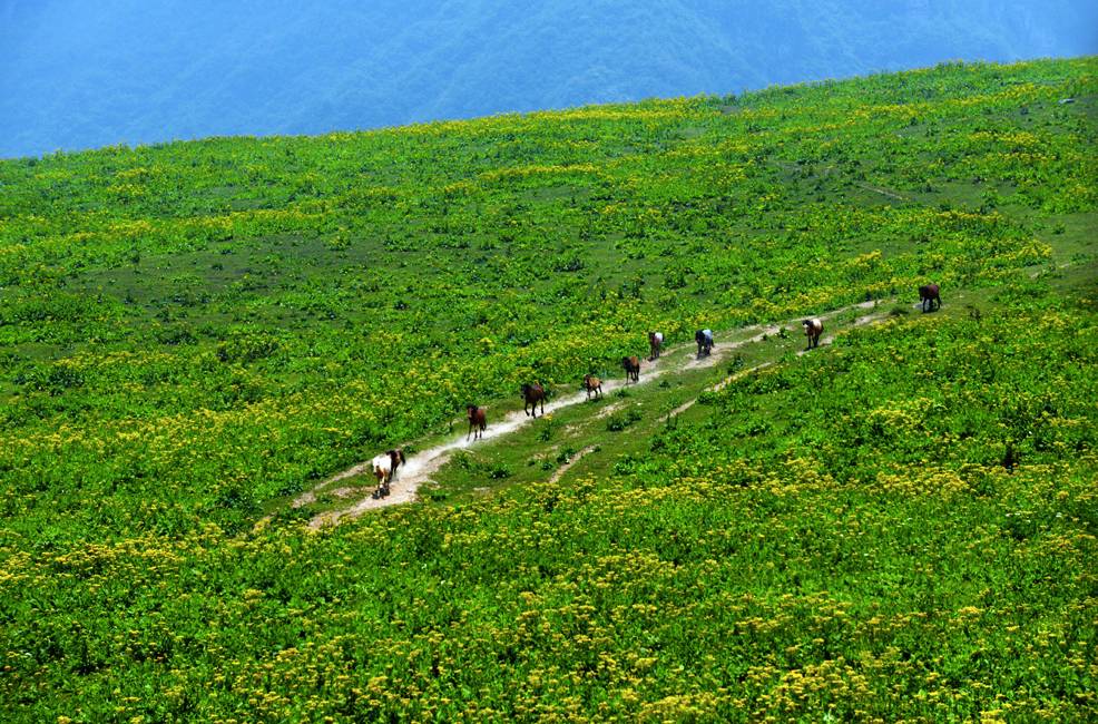 皇木鎮(zhèn)·壹間房，住進云霧間愛上一座城