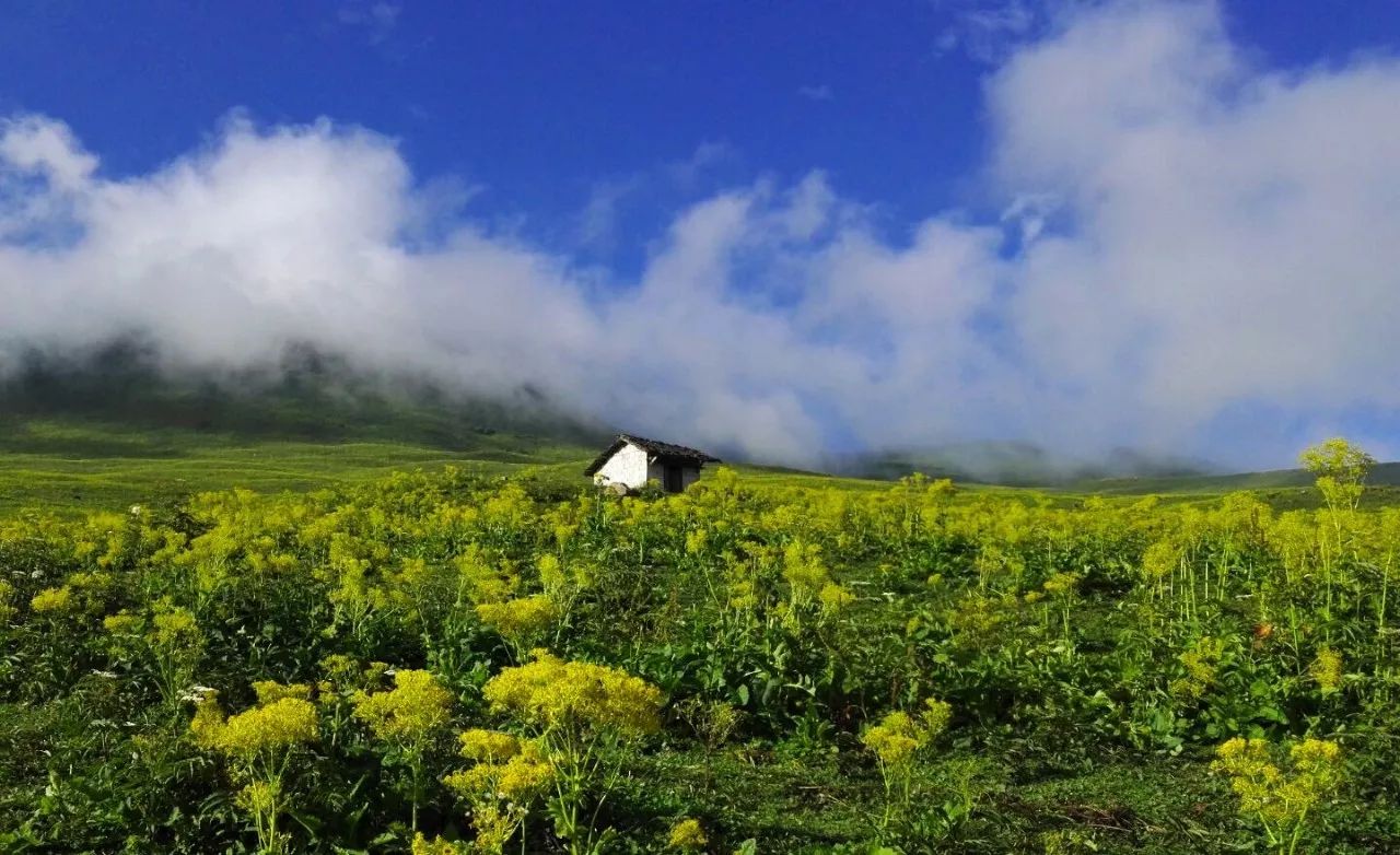 皇木鎮(zhèn)·壹間房，住進(jìn)云霧間愛上一座城