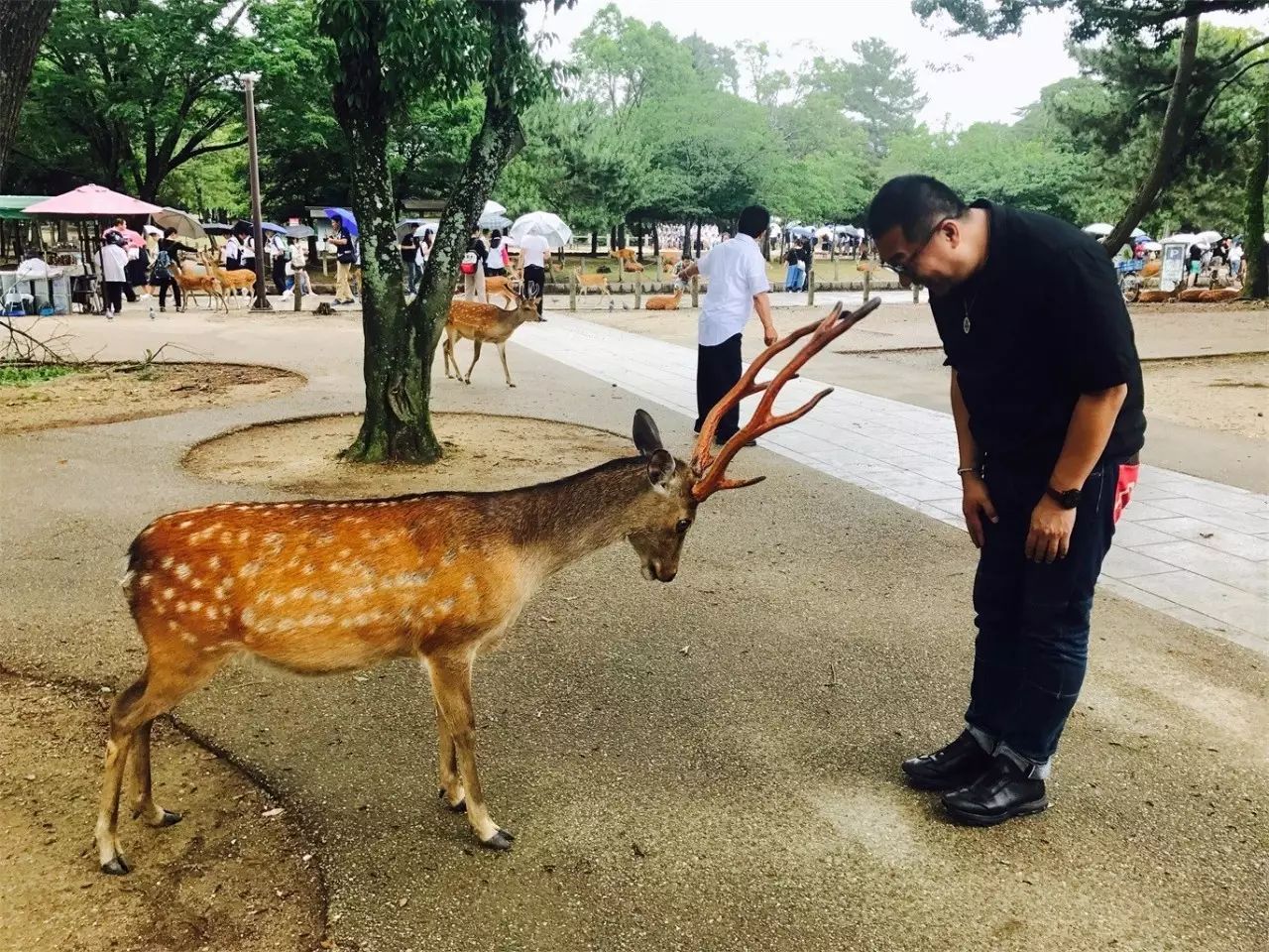 武夷山·舊街山宿，理想生活就是慢下來