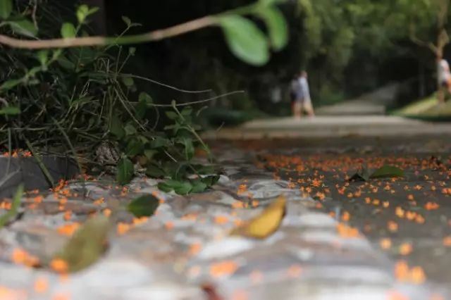 秋意正濃，與8家最美民宿一起相約杭州