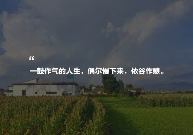 大理·依谷坐憩，在稻田里種間甜品店靜待光陰