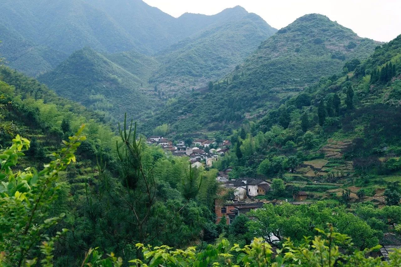 村上酒舍，體驗古村生活一起慢慢變老