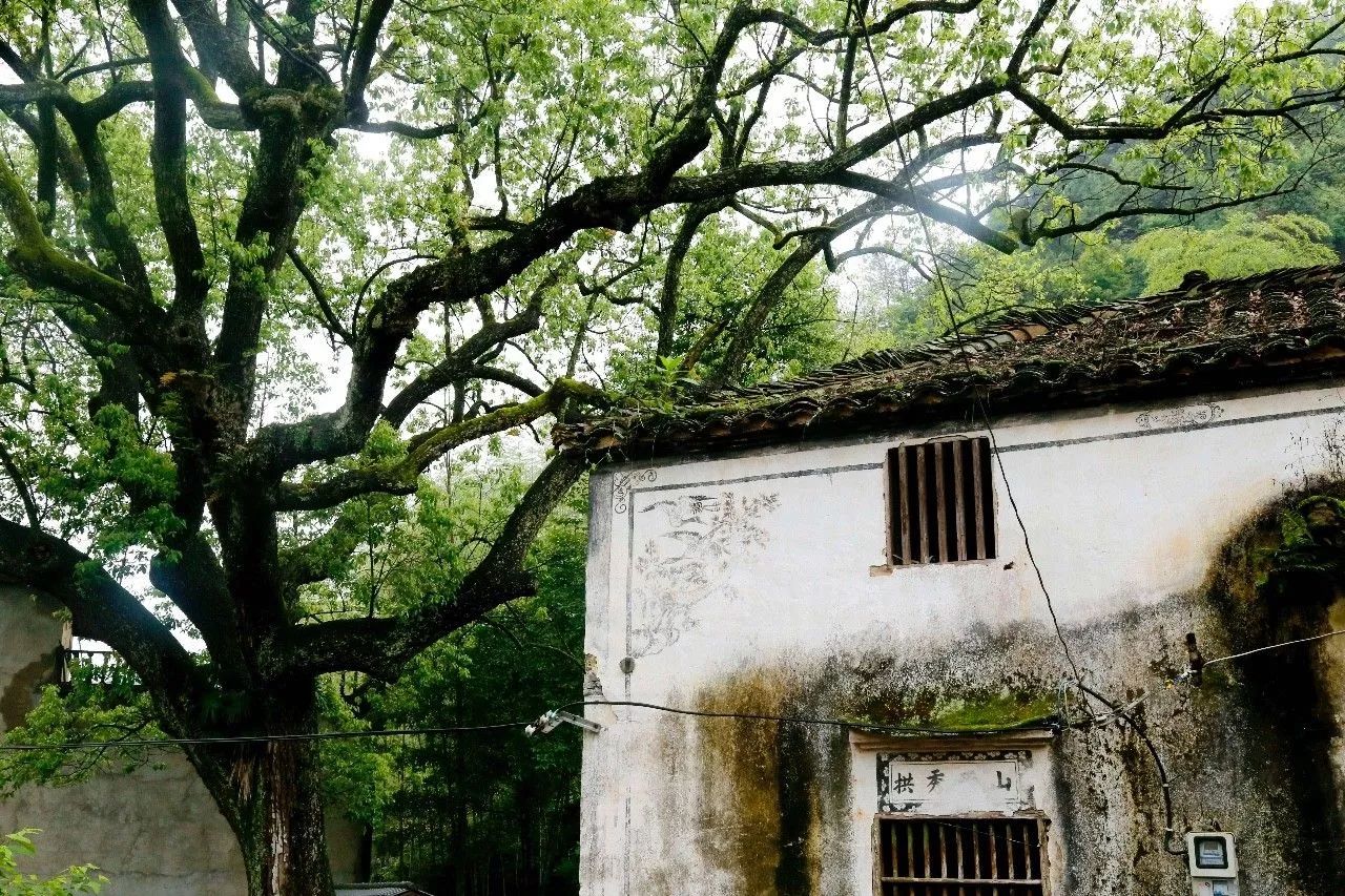村上酒舍，體驗古村生活一起慢慢變老