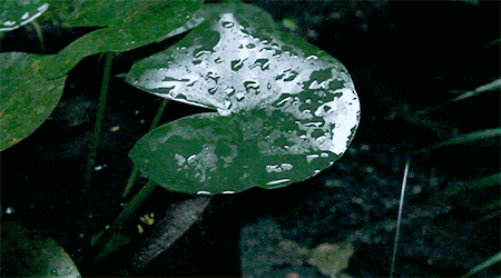 村上酒舍，體驗古村生活一起慢慢變老