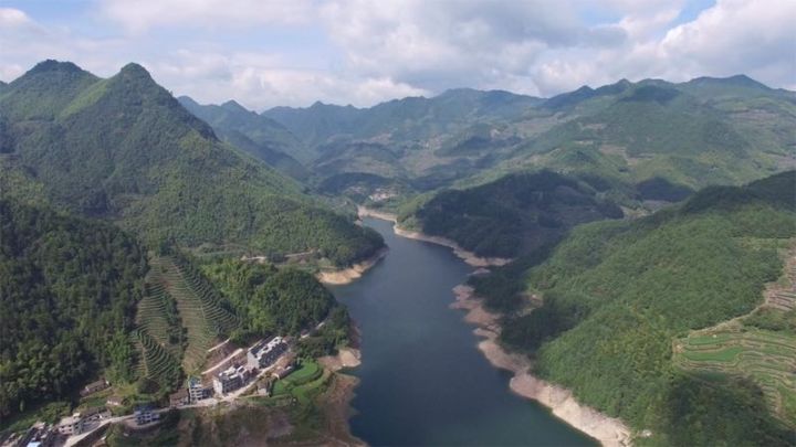麗水·浮光，浮光指路茶香入夢蓋一間湖畔大學(xué)