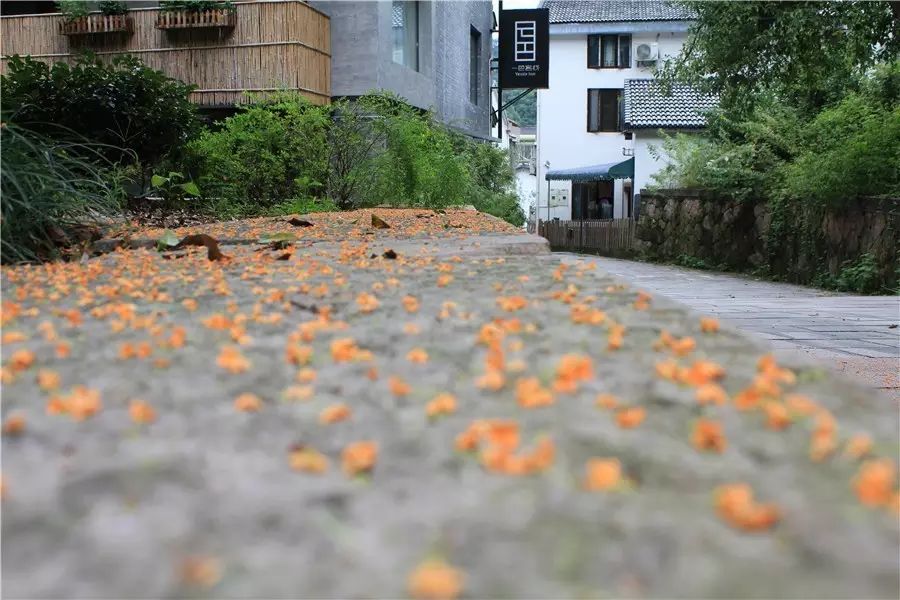 杭州·一色山墅，滿覺隴的月色喝茶散步都是雅事